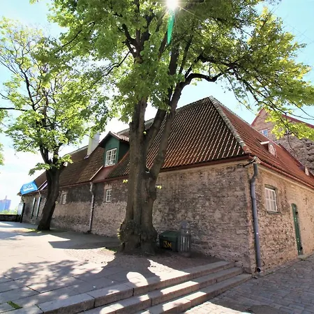 Kohtu *